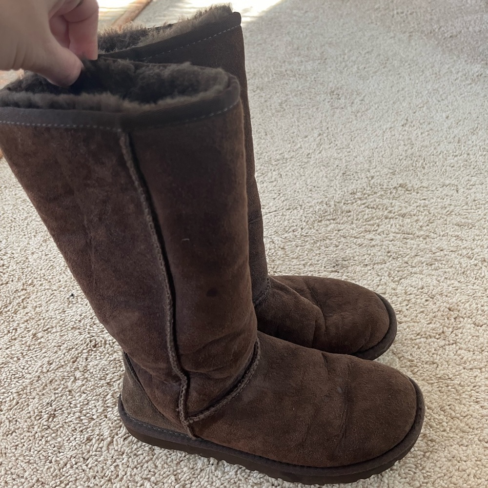Tall Brown Uggs